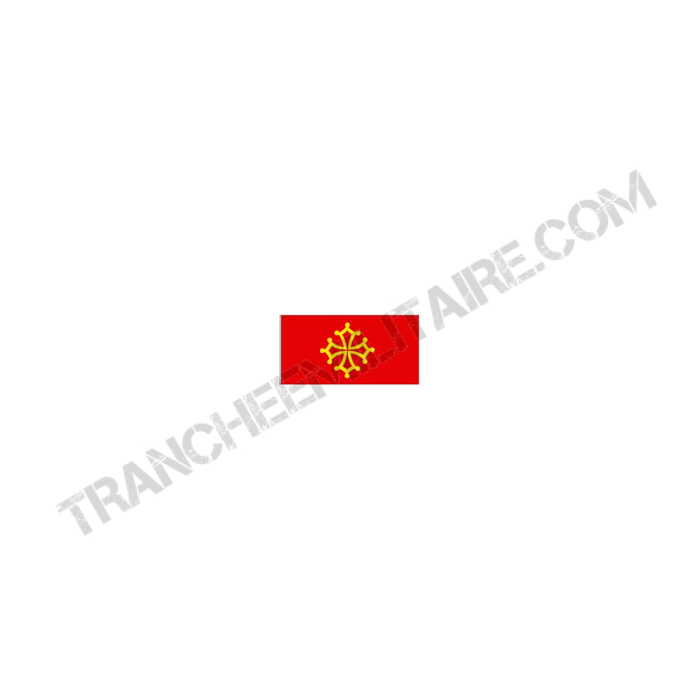 https://www.trancheemilitaire.com/291-large_default/drapeau-france-region-occitan-15090-cm-.jpg