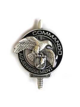 Brevet Commando Aguerrissement